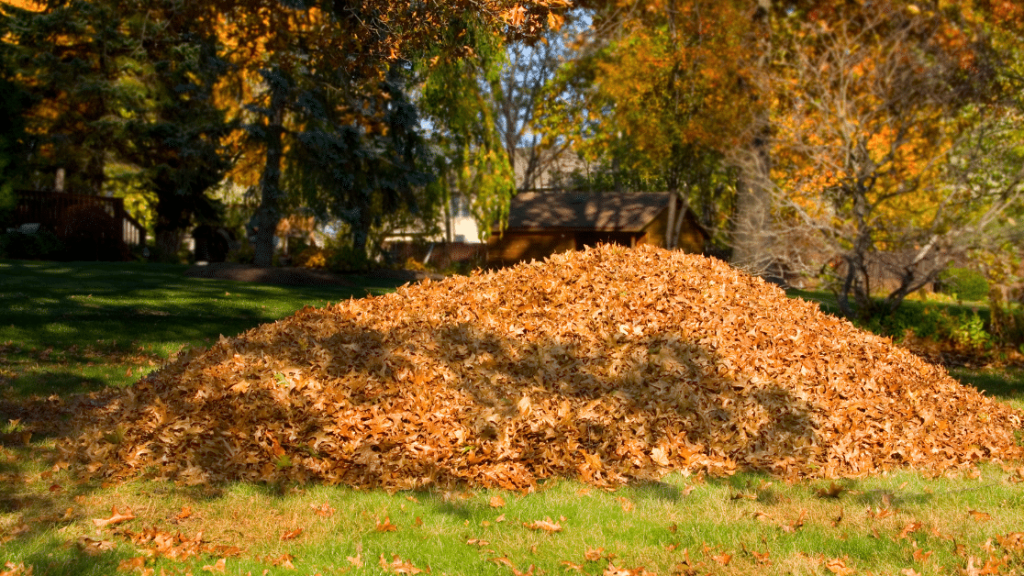 Efficient Yard Waste Junk Removal Service Supporting Residential and Commercial Cleanup